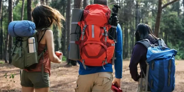 Where To Buy Your Camping Essentials Online?