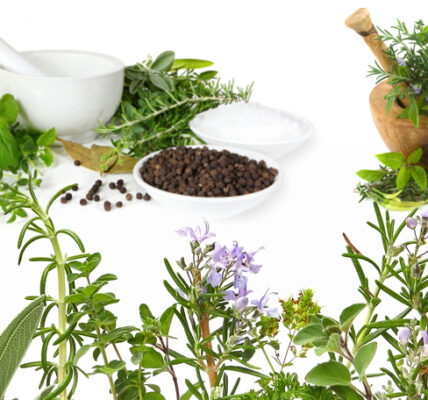 Relearning Traditional Herbal Remedies for Contemporary Wellness