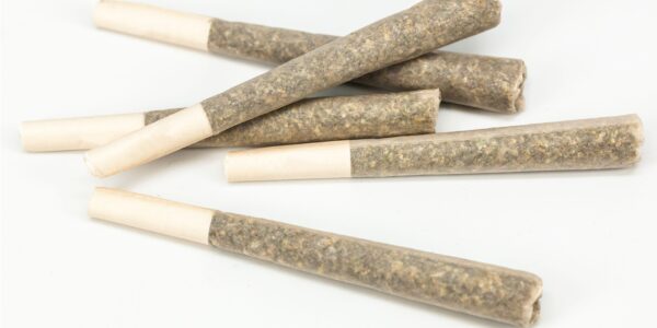 The Rise of Affordable Delta 8 THC Pre-Rolls: What You Need to Know