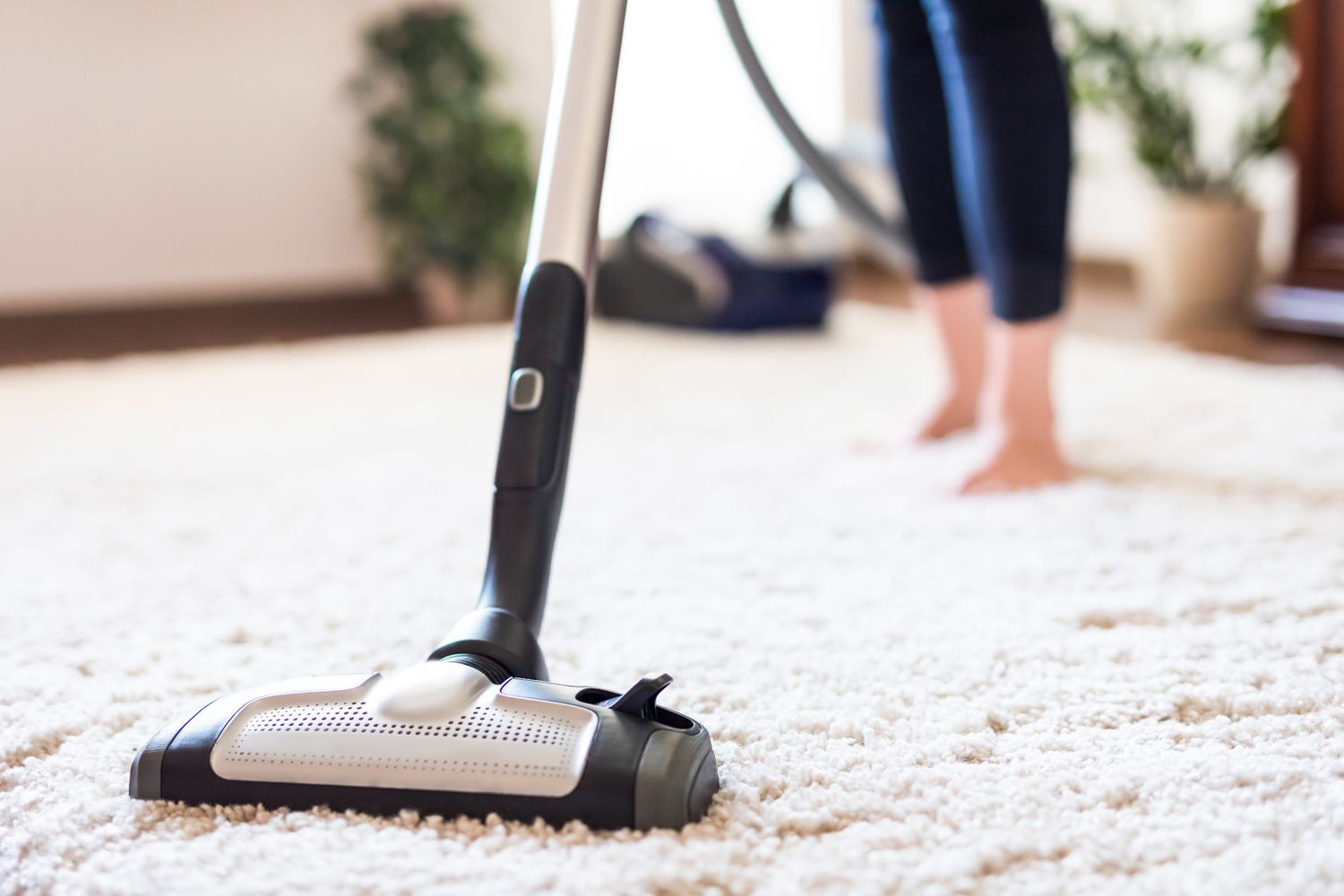 Expert Carpet Cleaning in Christchurch Might Extend the Life of Your Floor